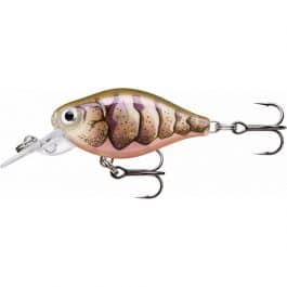 Leurre X – Light Crank Mid Runner 3,5cm Rapala