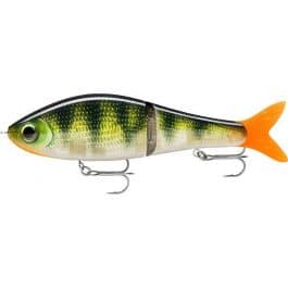 Leurre Super Shadow Rap Glide 16cm Rapala
